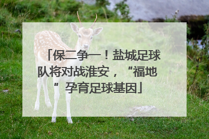 保二争一！盐城足球队将对战淮安，“福地”孕育足球基因