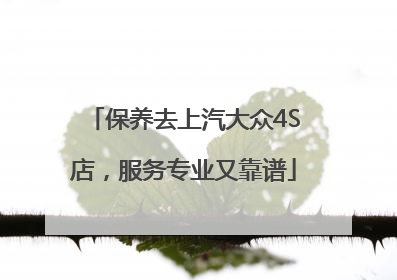 保养去上汽大众4S店，服务专业又靠谱