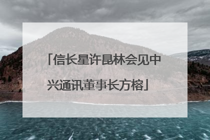 信长星许昆林会见中兴通讯董事长方榕