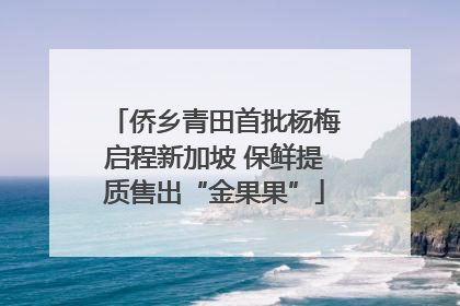 侨乡青田首批杨梅启程新加坡 保鲜提质售出“金果果”