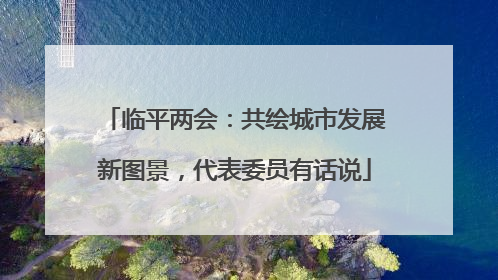 临平两会：共绘城市发展新图景，代表委员有话说