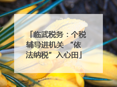 临武税务：个税辅导进机关 “依法纳税”入心田