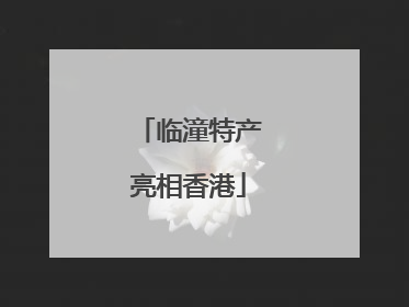 临潼特产亮相香港