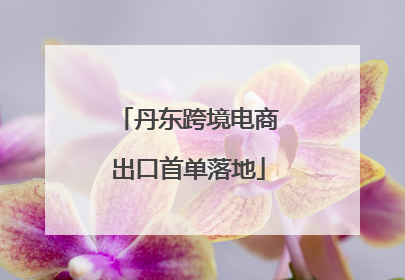 丹东跨境电商出口首单落地