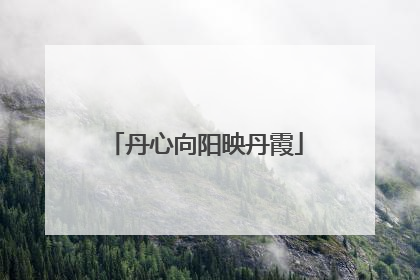 丹心向阳映丹霞