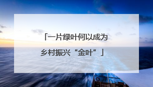 一片绿叶何以成为乡村振兴“金叶”