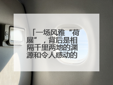 一场风雅“荷展”，背后是相隔千里两地的渊源和令人感动的历史人文情怀