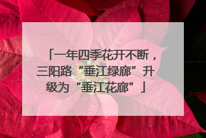 一年四季花开不断，三阳路“垂江绿廊”升级为“垂江花廊”
