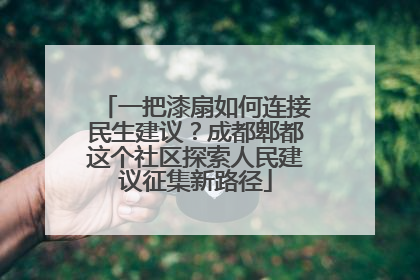 一把漆扇如何连接民生建议？成都郫都这个社区探索人民建议征集新路径