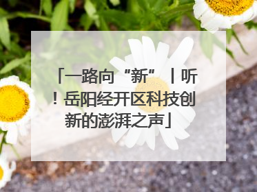 一路向“新”丨听！岳阳经开区科技创新的澎湃之声