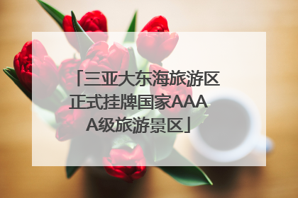 三亚大东海旅游区正式挂牌国家AAAA级旅游景区