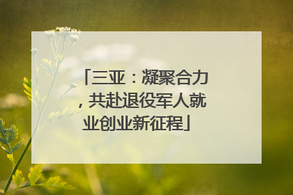 三亚：凝聚合力，共赴退役军人就业创业新征程