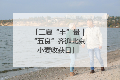 三夏“丰”景｜“五良”齐迎北京小麦收获日