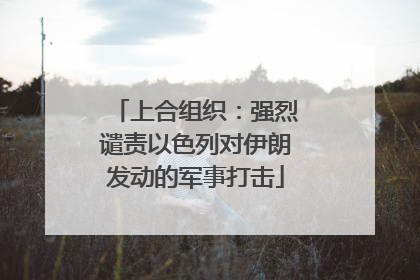 上合组织：强烈谴责以色列对伊朗发动的军事打击
