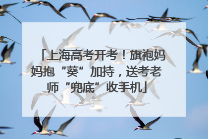 上海高考开考！旗袍妈妈抱“葵”加持，送考老师“兜底”收手机