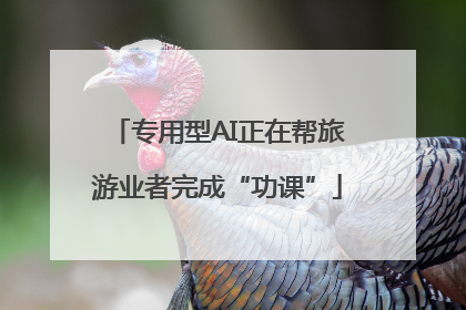 专用型AI正在帮旅游业者完成“功课”