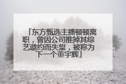东方甄选主播顿顿离职，曾因公司推掉其综艺邀约而失望，被称为下一个董宇辉