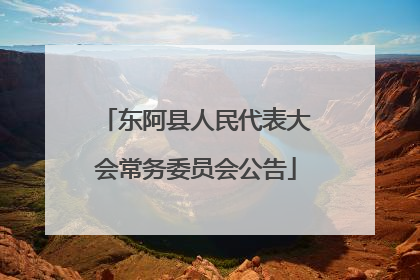 东阿县人民代表大会常务委员会公告