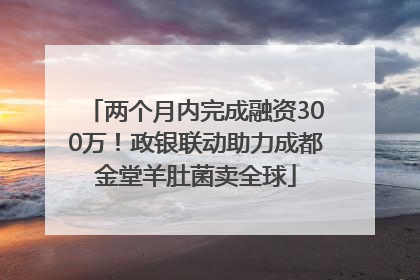 两个月内完成融资300万！政银联动助力成都金堂羊肚菌卖全球