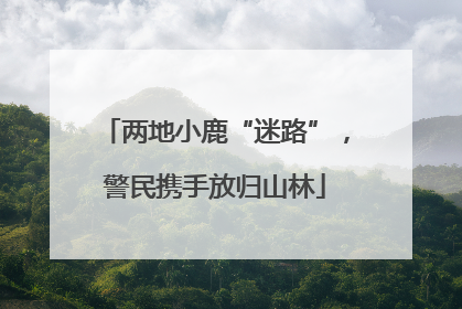 两地小鹿“迷路”，警民携手放归山林