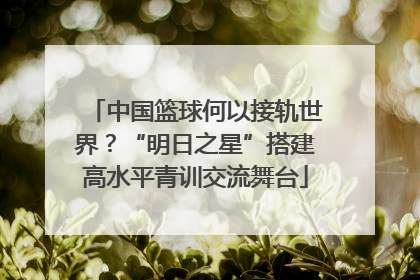 中国篮球何以接轨世界？“明日之星”搭建高水平青训交流舞台