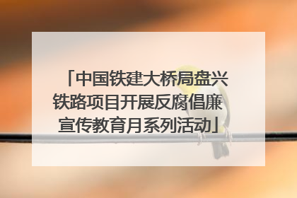 中国铁建大桥局盘兴铁路项目开展反腐倡廉宣传教育月系列活动