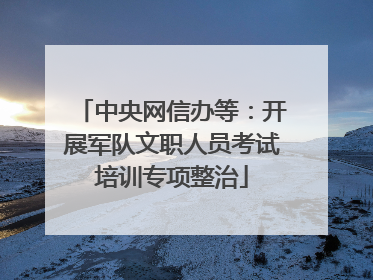 中央网信办等：开展军队文职人员考试培训专项整治