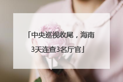 中央巡视收尾，海南3天连查3名厅官