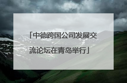 中德跨国公司发展交流论坛在青岛举行