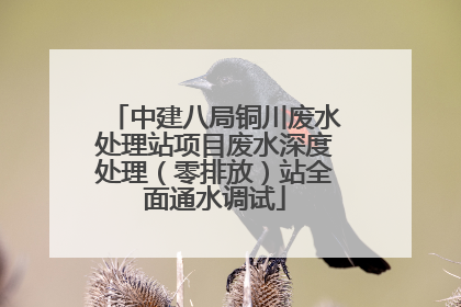 中建八局铜川废水处理站项目废水深度处理（零排放）站全面通水调试