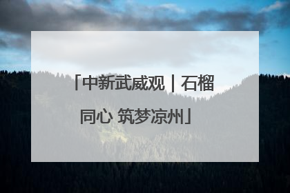 中新武威观｜石榴同心 筑梦凉州