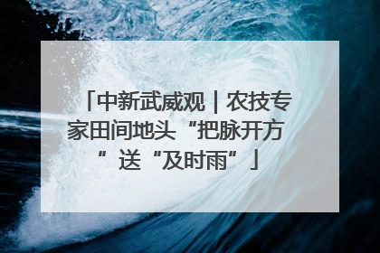 中新武威观｜农技专家田间地头“把脉开方”送“及时雨”