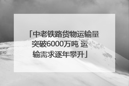 中老铁路货物运输量突破6000万吨 运输需求逐年攀升