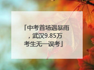 中考首场遇暴雨，武汉9.85万考生无一误考