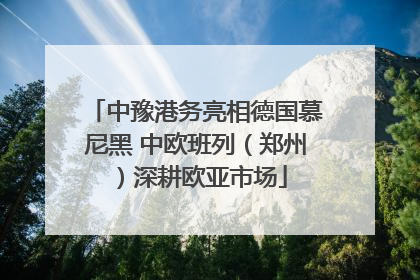 中豫港务亮相德国慕尼黑 中欧班列（郑州）深耕欧亚市场