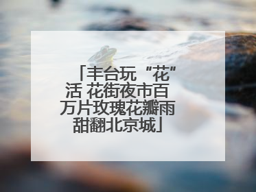 丰台玩“花”活 花街夜市百万片玫瑰花瓣雨甜翻北京城