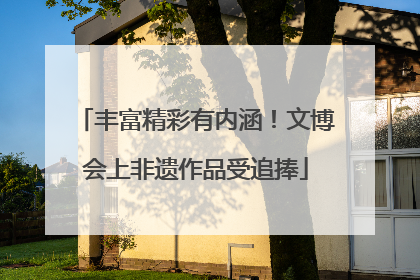 丰富精彩有内涵！文博会上非遗作品受追捧