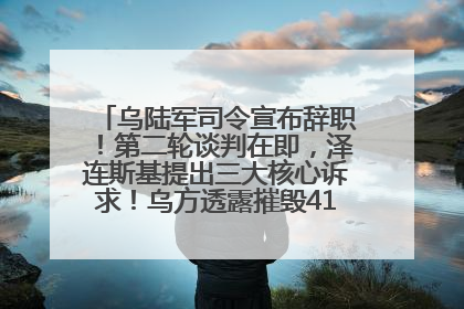 乌陆军司令宣布辞职！第二轮谈判在即，泽连斯基提出三大核心诉求！乌方透露摧毁41架俄战略轰炸机