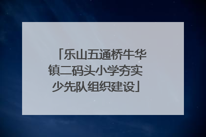 乐山五通桥牛华镇二码头小学夯实少先队组织建设