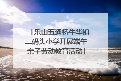 乐山五通桥牛华镇二码头小学开展端午亲子劳动教育活动