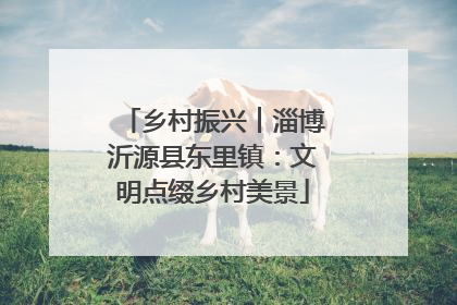 乡村振兴︱淄博沂源县东里镇：文明点缀乡村美景