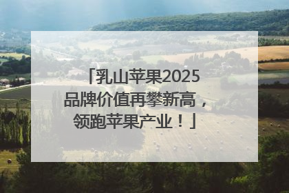 乳山苹果2025品牌价值再攀新高，领跑苹果产业！