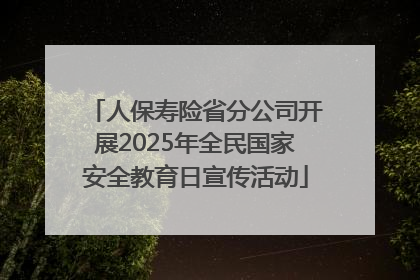 人保寿险省分公司开展2025年全民国家安全教育日宣传活动