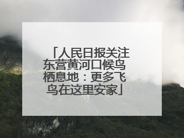人民日报关注东营黄河口候鸟栖息地：更多飞鸟在这里安家