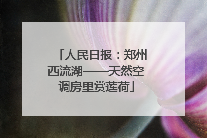 人民日报：郑州西流湖——天然空调房里赏莲荷