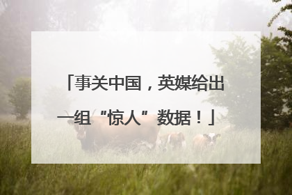 事关中国，英媒给出一组“惊人”数据！