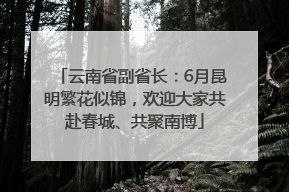 云南省副省长：6月昆明繁花似锦，欢迎大家共赴春城、共聚南博