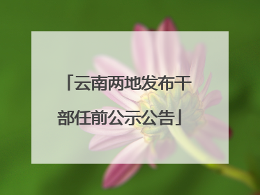云南两地发布干部任前公示公告
