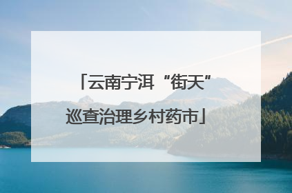 云南宁洱“街天”巡查治理乡村药市