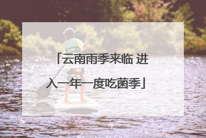 云南雨季来临 进入一年一度吃菌季